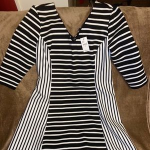 🤍🖤NWT black/white Lane BryantMidi dress14/16🤍🖤